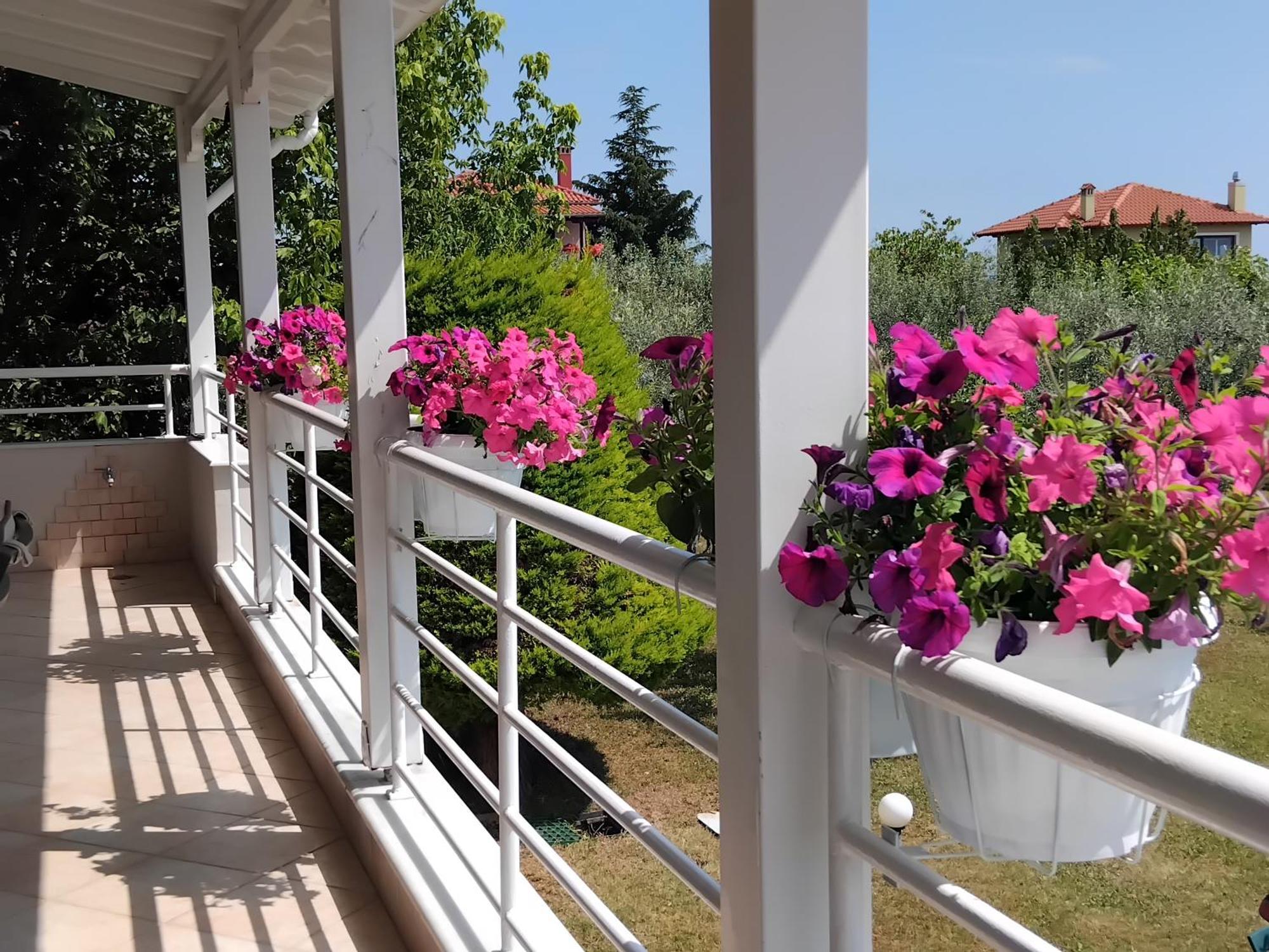 Tammy'S Garden House Villa เลปโตการายา ภายนอก รูปภาพ