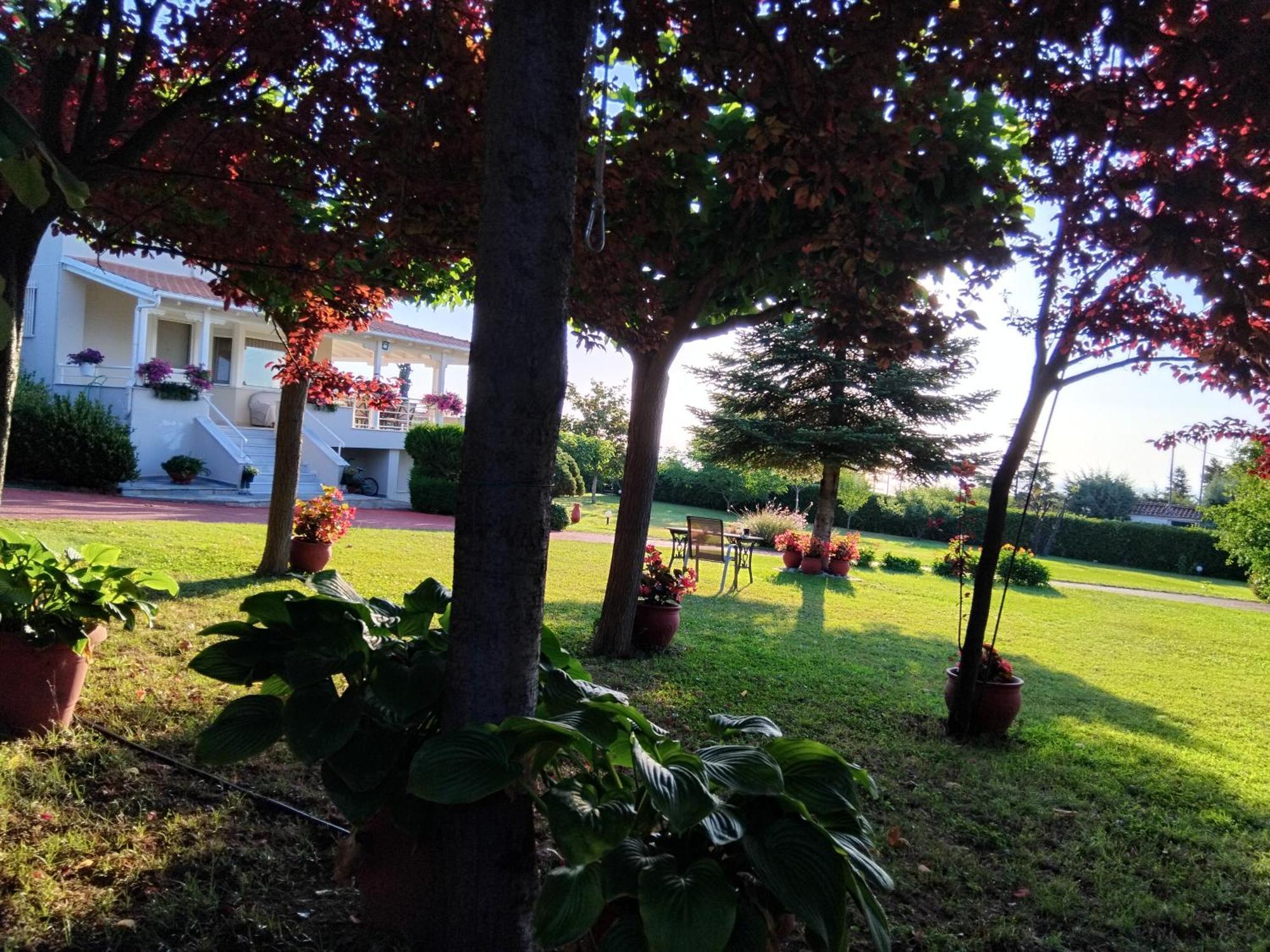 Tammy'S Garden House Villa เลปโตการายา ภายนอก รูปภาพ